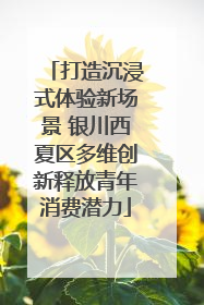 打造沉浸式体验新场景 银川西夏区多维创新释放青年消费潜力