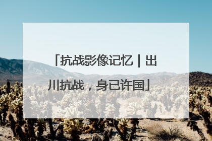 抗战影像记忆｜出川抗战，身已许国