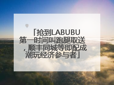 抢到LABUBU第一时间叫跑腿取送，顺丰同城等即配成潮玩经济参与者