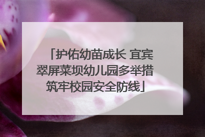 护佑幼苗成长 宜宾翠屏菜坝幼儿园多举措筑牢校园安全防线