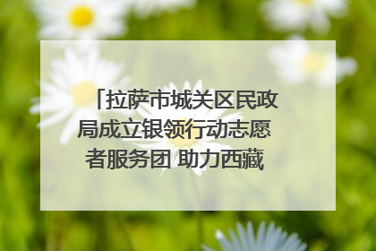 拉萨市城关区民政局成立银领行动志愿者服务团 助力西藏银发经济发展