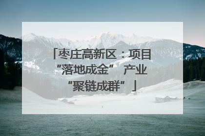 枣庄高新区：项目“落地成金” 产业“聚链成群”
