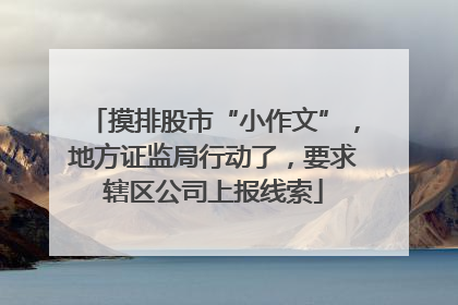摸排股市“小作文”，地方证监局行动了，要求辖区公司上报线索