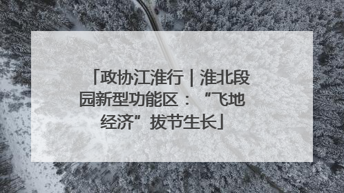 政协江淮行｜淮北段园新型功能区：“飞地经济”拔节生长