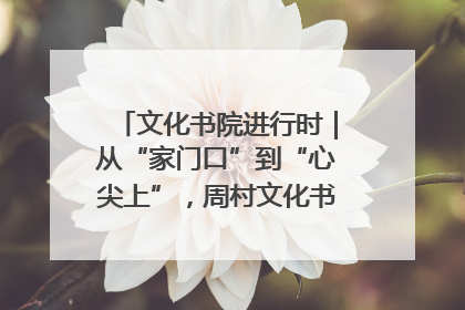 文化书院进行时｜从“家门口”到“心尖上”，周村文化书院的惠民实践