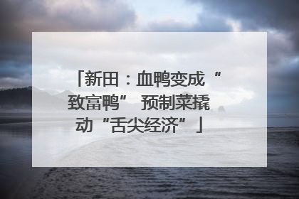 新田：血鸭变成“致富鸭” 预制菜撬动“舌尖经济”
