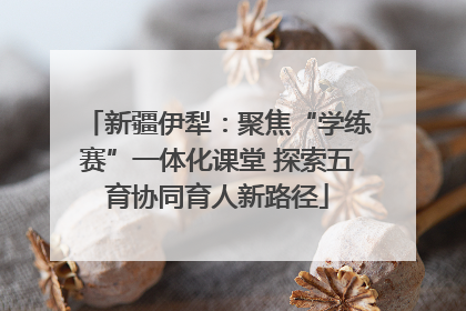 新疆伊犁：聚焦“学练赛”一体化课堂 探索五育协同育人新路径