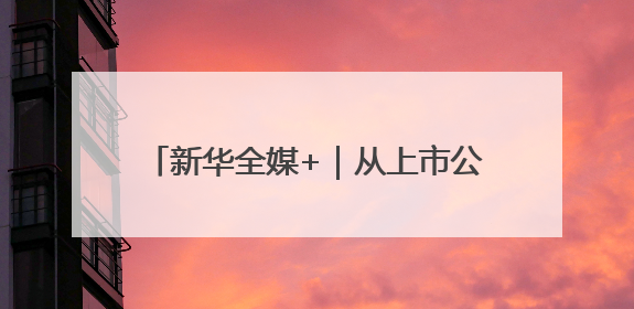 新华全媒+｜从上市公司一季报“含新量”看中国经济发展向“新”