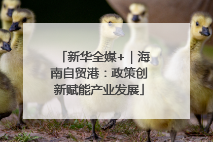 新华全媒+｜海南自贸港：政策创新赋能产业发展
