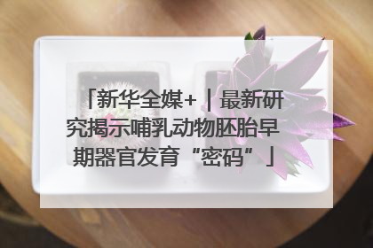 新华全媒+｜最新研究揭示哺乳动物胚胎早期器官发育“密码”