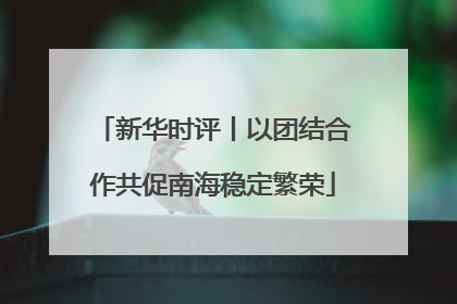 新华时评丨以团结合作共促南海稳定繁荣