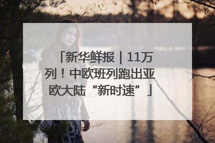 新华鲜报｜11万列！中欧班列跑出亚欧大陆“新时速”