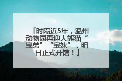 时隔近5年，温州动物园再迎大熊猫“宝弟”“宝妹”，明日正式开馆！