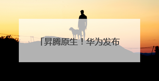 昇腾原生！华为发布准万亿模型Pangu Ultra MoE模型架构和训练细节