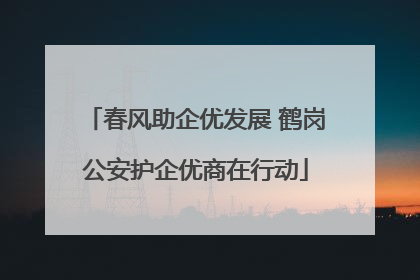 春风助企优发展 鹤岗公安护企优商在行动
