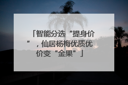 智能分选“提身价”，仙居杨梅优质优价变“金果”