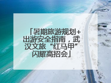 暑期旅游规划+出游安全指南，武汉文旅“红马甲”闪耀高招会