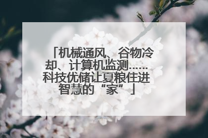 机械通风、谷物冷却、计算机监测……科技优储让夏粮住进智慧的“家”
