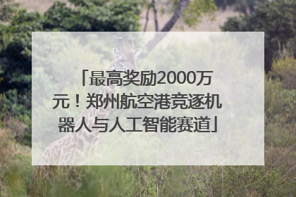最高奖励2000万元！郑州航空港竞逐机器人与人工智能赛道