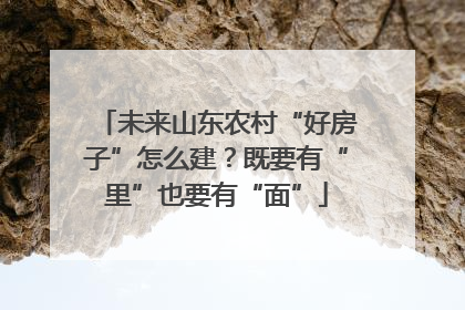 未来山东农村“好房子”怎么建？既要有“里”也要有“面”