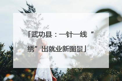 武功县：一针一线“绣”出就业新图景