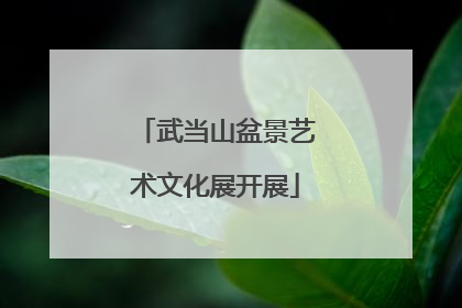 武当山盆景艺术文化展开展