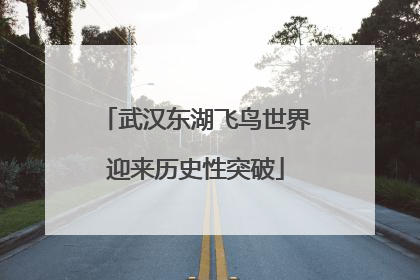 武汉东湖飞鸟世界迎来历史性突破