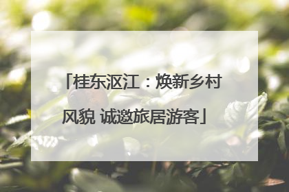 桂东沤江：焕新乡村风貌 诚邀旅居游客