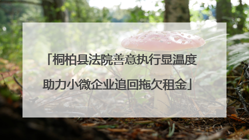 桐柏县法院善意执行显温度 助力小微企业追回拖欠租金