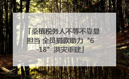 桑植税务人不等不靠显担当 全员捐款助力“6·18”洪灾重建