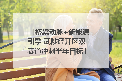 桥梁动脉+新能源引擎 武陟经开区双赛道冲刺半年目标