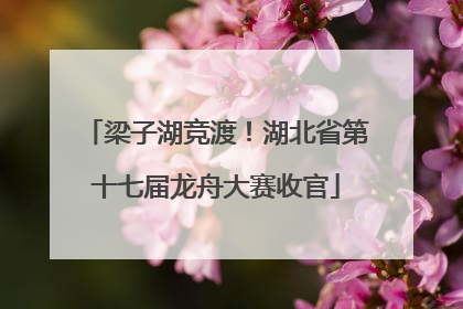 梁子湖竞渡！湖北省第十七届龙舟大赛收官