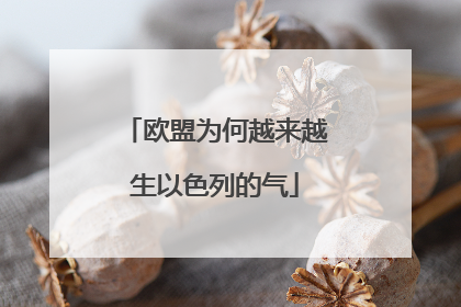 欧盟为何越来越生以色列的气