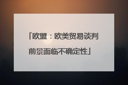 欧盟：欧美贸易谈判前景面临不确定性