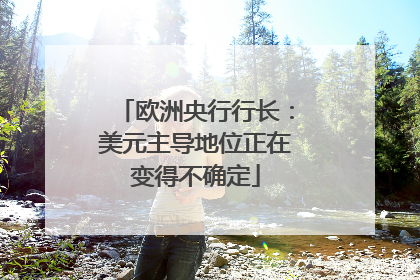 欧洲央行行长：美元主导地位正在变得不确定