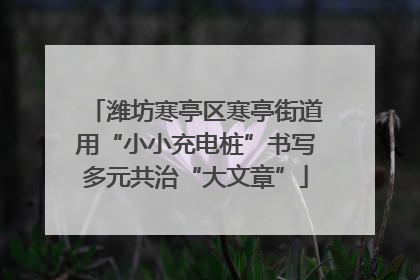 潍坊寒亭区寒亭街道用“小小充电桩”书写多元共治“大文章”