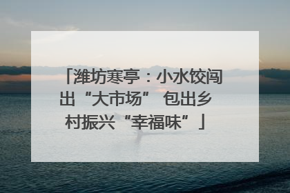 潍坊寒亭：小水饺闯出“大市场” 包出乡村振兴“幸福味”