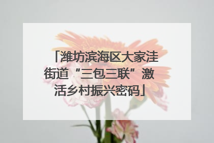 潍坊滨海区大家洼街道“三包三联”激活乡村振兴密码