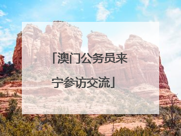 澳门公务员来宁参访交流