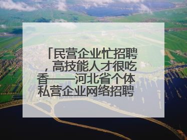 民营企业忙招聘，高技能人才很吃香——河北省个体私营企业网络招聘大会扫描
