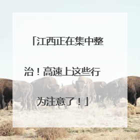 江西正在集中整治！高速上这些行为注意了！