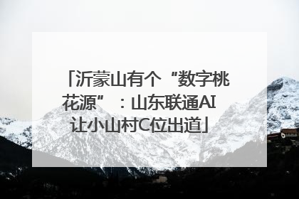 沂蒙山有个“数字桃花源”：山东联通AI让小山村C位出道