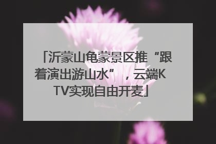 沂蒙山龟蒙景区推“跟着演出游山水”，云端KTV实现自由开麦