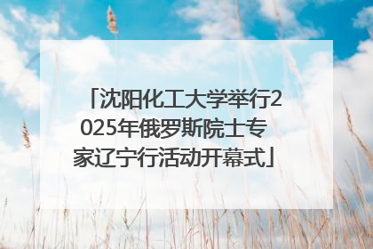沈阳化工大学举行2025年俄罗斯院士专家辽宁行活动开幕式