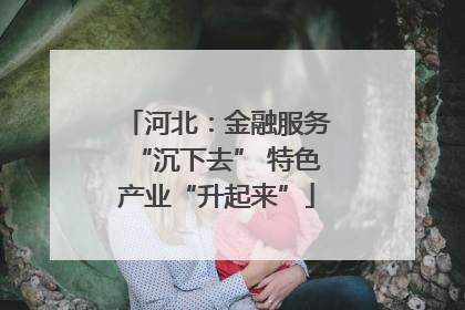 河北：金融服务“沉下去” 特色产业“升起来”