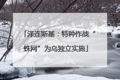 泽连斯基：特种作战“蛛网”为乌独立实施