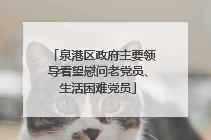泉港区政府主要领导看望慰问老党员、生活困难党员