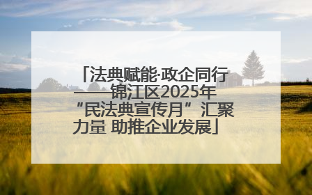 法典赋能·政企同行——锦江区2025年“民法典宣传月”汇聚力量 助推企业发展