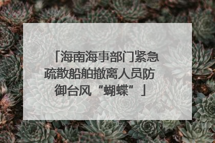 海南海事部门紧急疏散船舶撤离人员防御台风“蝴蝶”