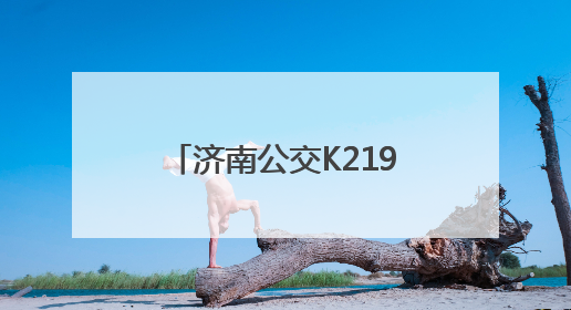济南公交K219路线：奔赴自然，解锁多彩郊野时光